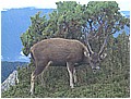 2008-7-6 下午 05-46-24---東郡北鞍營地與水路邂逅7.jpg
